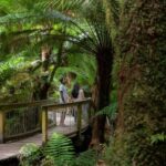 Melbourne: Great Ocean Road & Rainforest Trip - Final Thoughts: Is It Worth It?