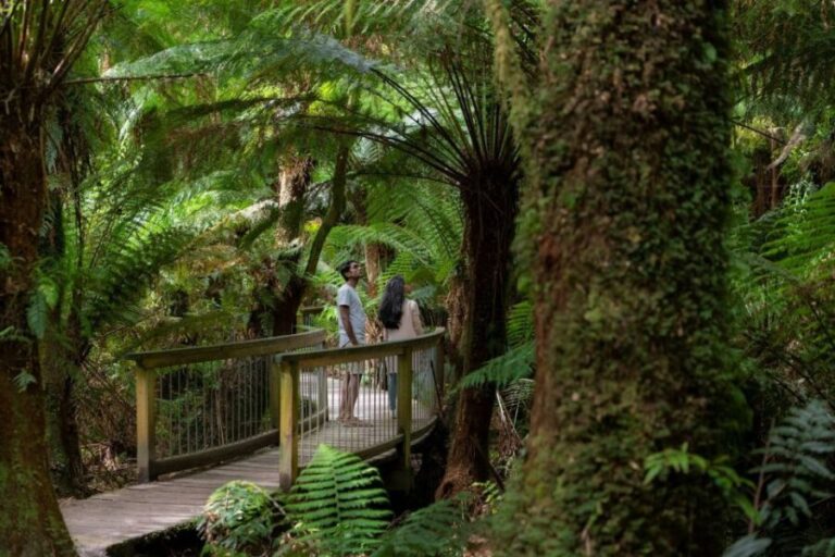 Melbourne: Great Ocean Road & Rainforest Trip - Final Thoughts: Is It Worth It?