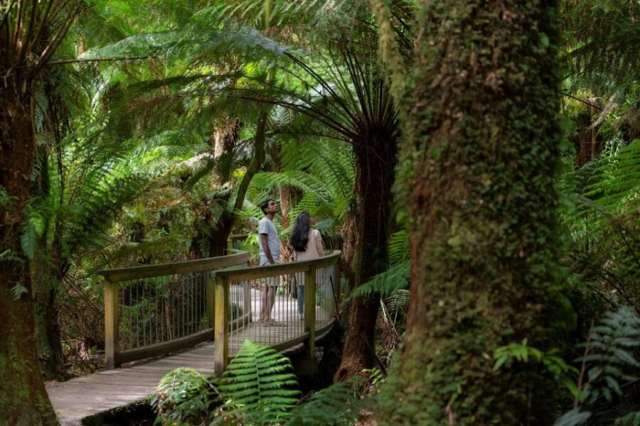 Melbourne: Great Ocean Road & Rainforest Trip - Final Thoughts: Is It Worth It?