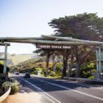Melbourne: Great Ocean Road to 12 Apostles via the Coastline - Overall Value and Experience Analysis