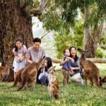 Melbourne Highlights & Aussie Wildlife Express Tour - Who Is This Tour Best For?