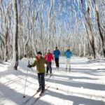 Melbourne: Lake Mountain Snow Guided Tour - What Reviewers Love Most