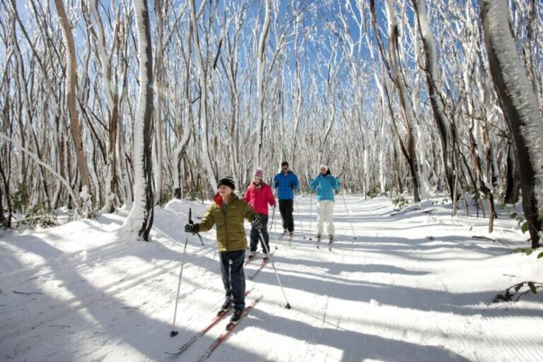 Melbourne: Lake Mountain Snow Guided Tour - What Reviewers Love Most