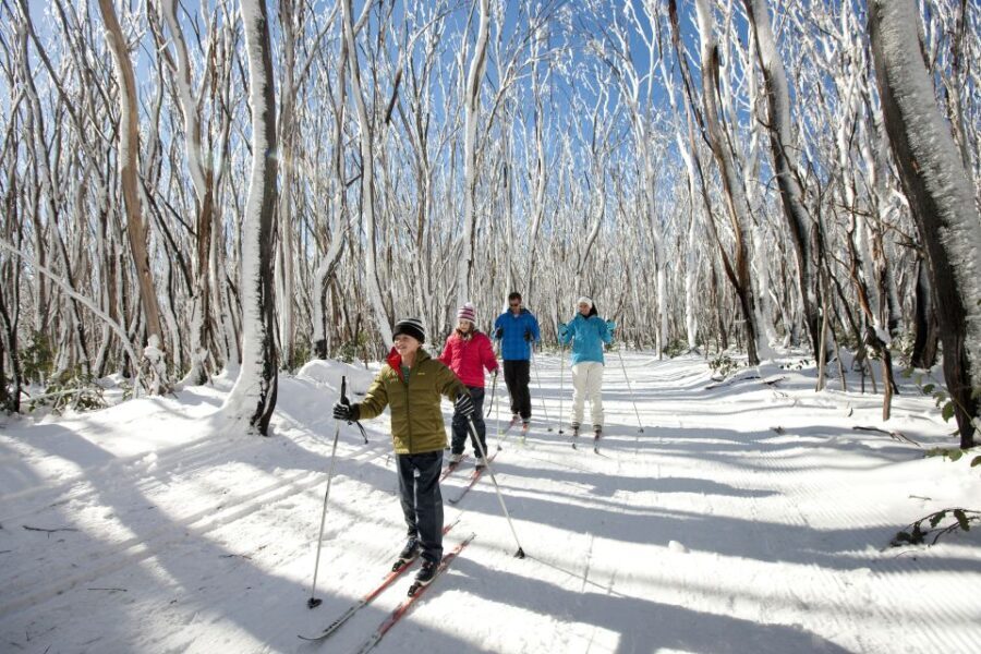 Melbourne: Lake Mountain Snow Guided Tour - What Reviewers Love Most