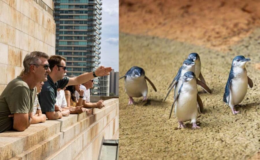 Melbourne Magic: City Highlights and Penguin Parade Tour - Transportation, Timing, and Group Size