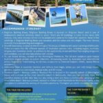 Melbourne: Mornington Peninsula and Moonlit Sanctuary Tour - Who This Tour Suits Best