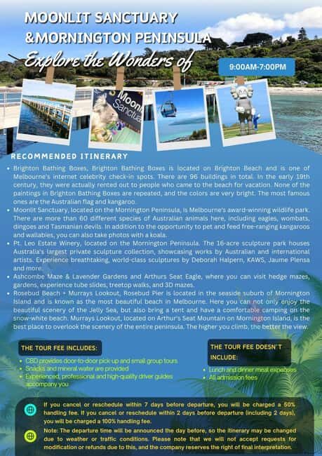 Melbourne: Mornington Peninsula and Moonlit Sanctuary Tour - Who This Tour Suits Best