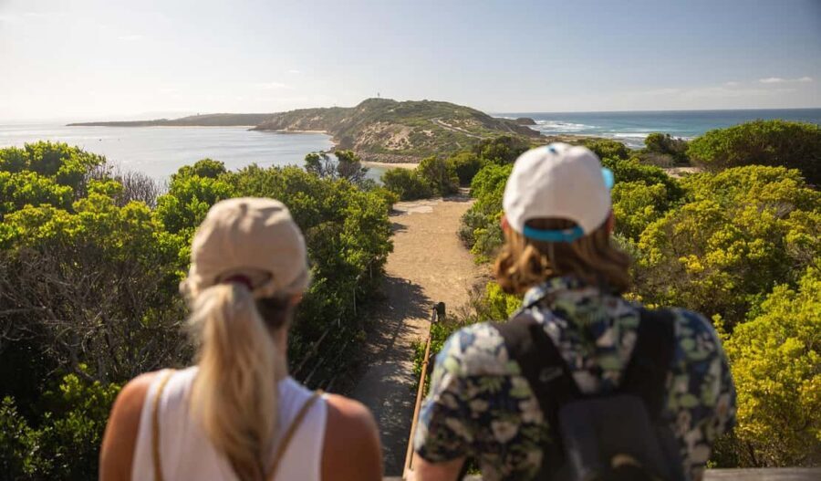 Melbourne: Mornington Peninsula Southern Coast Discovery - An In-Depth Look at the Tour Experience