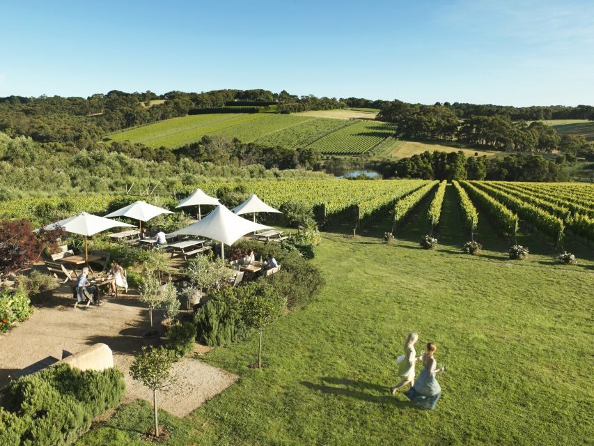 Melbourne: Mornington Peninsula Wine Day Tour - What to Keep in Mind