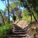 Melbourne: Peninsula Nature Private Day Trip with Dinner - What Makes This Tour Stand Out
