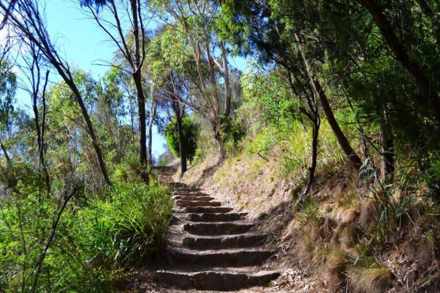 Melbourne: Peninsula Nature Private Day Trip with Dinner - What Makes This Tour Stand Out