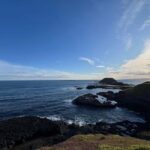 Melbourne: Phillip Island Private Tour including tickets - What’s Included and What to Consider