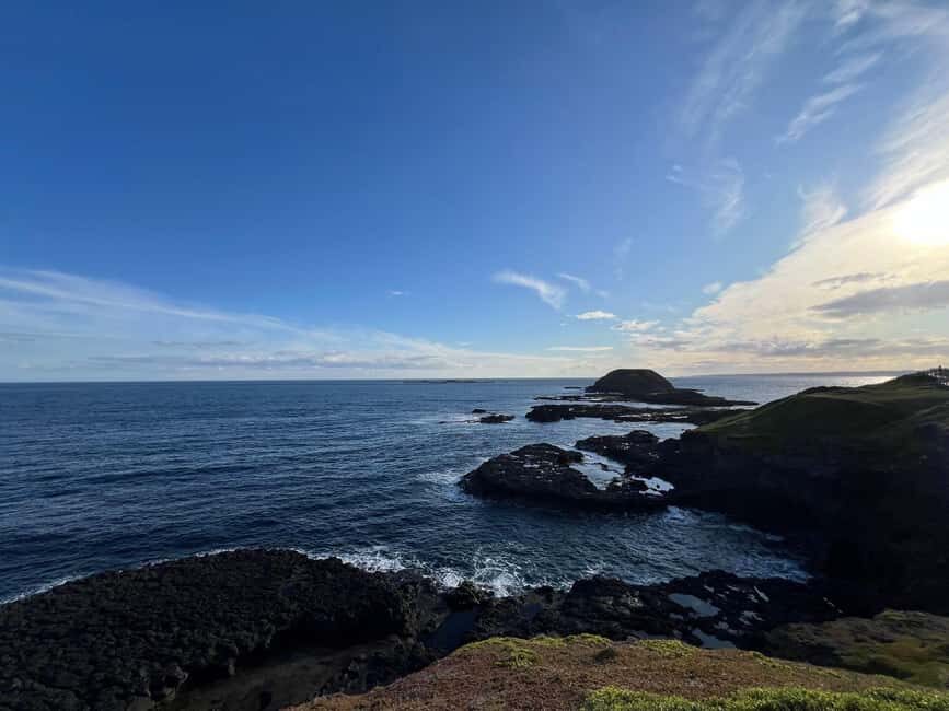 Melbourne: Phillip Island Private Tour including tickets - What’s Included and What to Consider