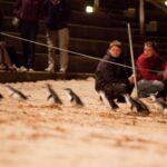 Melbourne: Phillip Island Tour & Penguin Parade - Experiencing the Penguin Parade: The Main Event