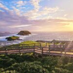 Melbourne: Phillip Island Tour w/ Hop-on Bus or Seal Cruise - Why This Tour Offers Great Value