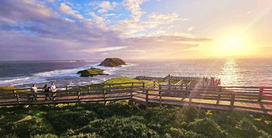 Melbourne: Phillip Island Tour w/ Hop-on Bus or Seal Cruise - Why This Tour Offers Great Value