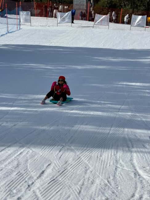 Melbourne: Private Lake Mountain Snow & Redwood Forest Tours - Transportation and Comfort