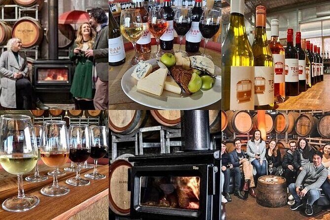 Melbourne Private Penguins Tour wildlife Wine Tour - Final Thoughts