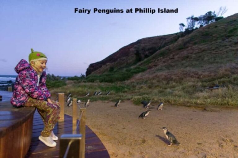 Melbourne: Private Phillip Island Penguin Parade Tour - What Makes This Tour Stand Out?