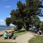 Melbourne: Private Phillip Island Penguin Parade Tours - Maru Koala Park and Wildlife Encounters