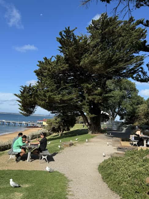 Melbourne: Private Phillip Island Penguin Parade Tours - Maru Koala Park and Wildlife Encounters