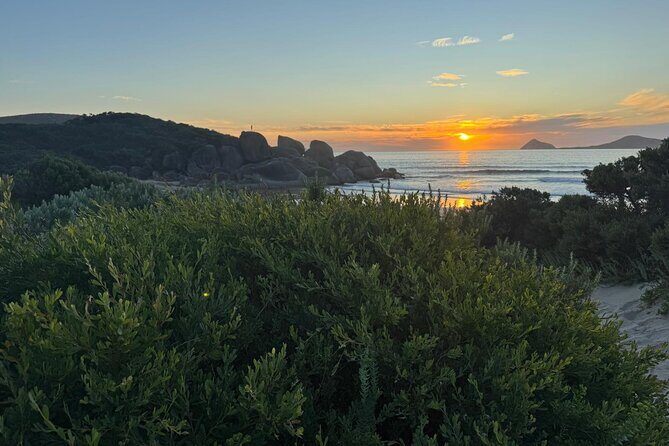 Melbourne: Private Wilson Promontory National Park Day Tours - The Practicalities: Transportation, Timing, and Value