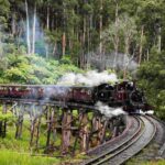 Melbourne: Puffing Billy Railway & Penguin Parade Day Tour - Who Is This Tour Best For?