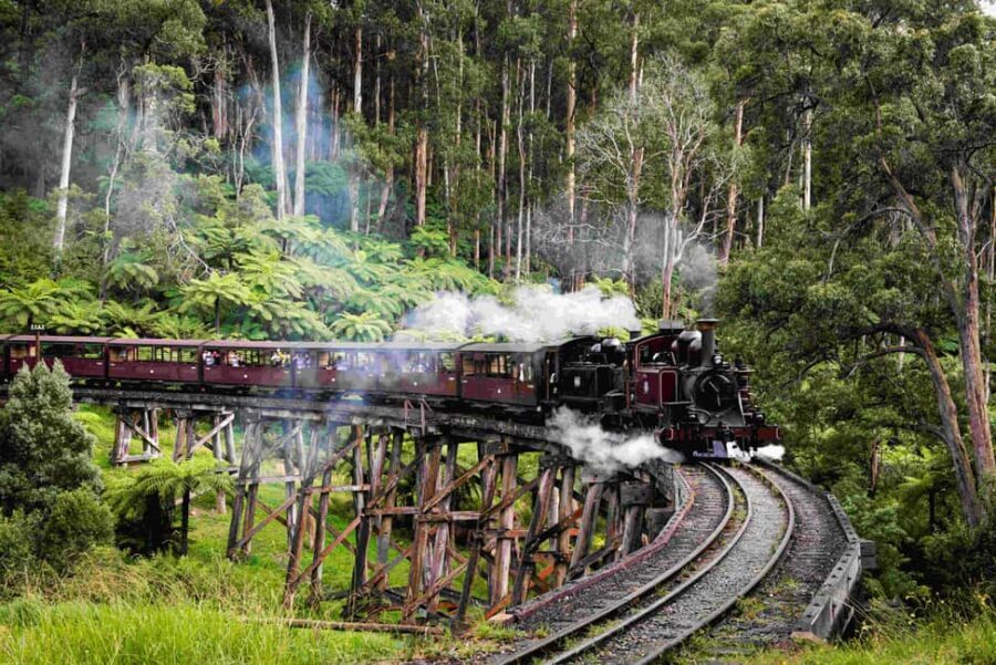 Melbourne: Puffing Billy Railway & Penguin Parade Day Tour - Who Is This Tour Best For?