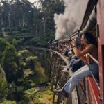 Melbourne: Puffing Billy Railway & Rainforest Tour - The Value and Practicalities