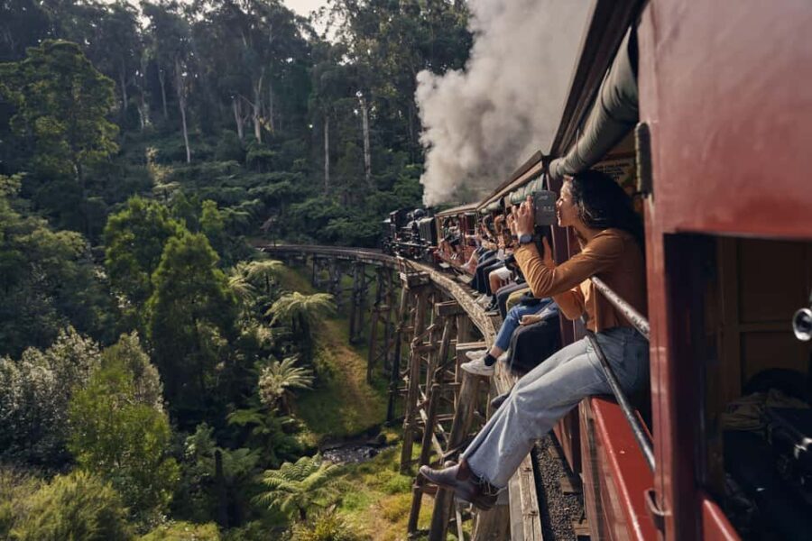 Melbourne: Puffing Billy Railway & Rainforest Tour - The Value and Practicalities