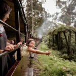 Melbourne Puffing Billy Train and Penguin Parade Day Tour Escape - What’s Included and What to Budget For