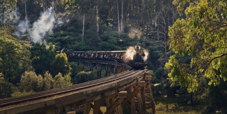 Melbourne: Puffing Billy Train & Healesville & Winery Tour - A Deep Dive Into the Tour Experience