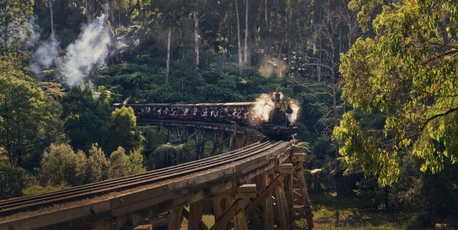 Melbourne: Puffing Billy Train & Healesville & Winery Tour - A Deep Dive Into the Tour Experience