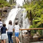 Melbourne Snow Trip to Lake Mountain with Chocolates & Waterfalls - An Authentic Look at the Tour Experience