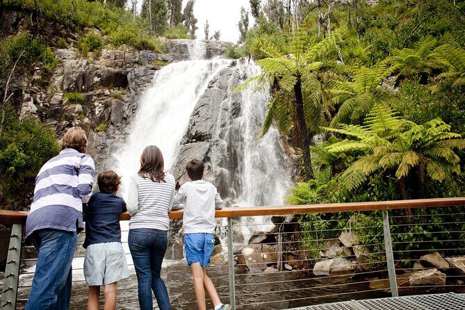Melbourne Snow Trip to Lake Mountain with Chocolates & Waterfalls - An Authentic Look at the Tour Experience