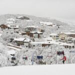 Melbourne to Mt Buller Snow Day Trip  Skiing & Winter Fun - Who Should Consider This Tour?