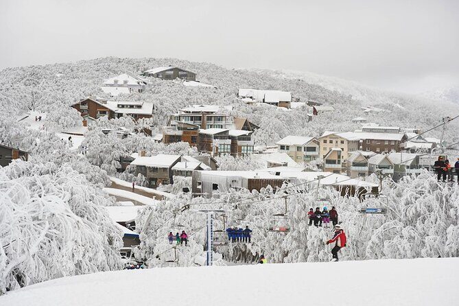 Melbourne to Mt Buller Snow Day Trip  Skiing & Winter Fun - Who Should Consider This Tour?