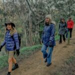 Melbourne Tour: Walk the Yarra & Heritage Convent Experience - What’s Included and What to Consider