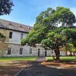 Melbourne: Walk the Yarra to Heritage Abbotsford Convent - The Itinerary in Detail