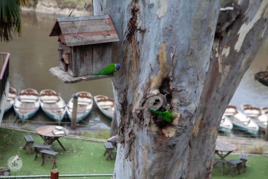 Melbourne: Walk the Yarra to Historic Fairfield Boathouse - The Itinerary in Detail