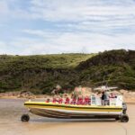 Melbourne: Wilsons Promontory Morning Wilderness Cruise - Who Would Love This Tour?