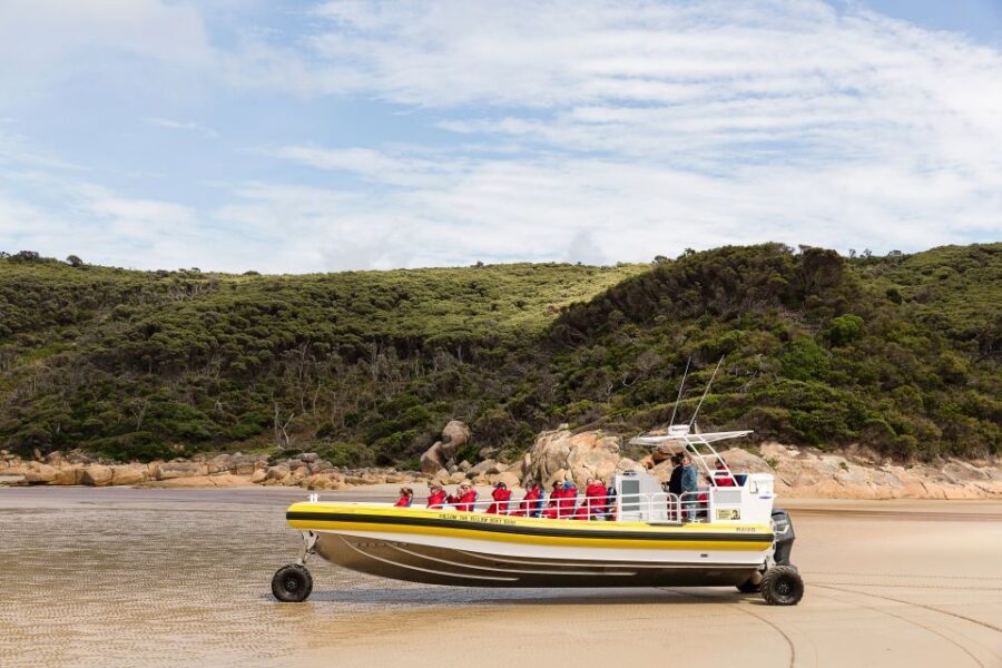 Melbourne: Wilsons Promontory Morning Wilderness Cruise - Who Would Love This Tour?