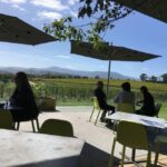 Melbourne: Yarra Valley Wineries Private Car Tour - A Closer Look at the Yarra Valley Wineries Private Car Tour