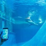 Melbourne Zoo: 1-Day Entry Ticket - A Closer Look at the Melbourne Zoo Experience