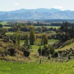 Merino Farm Experience - Who Is This Tour Best For?