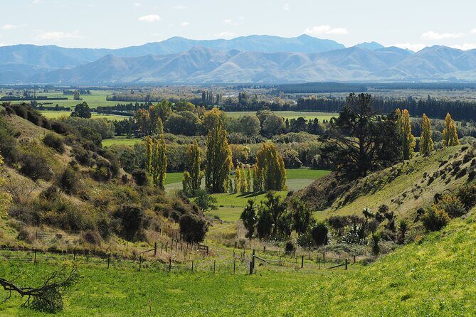 Merino Farm Experience - Who Is This Tour Best For?