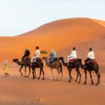 Merzouga: 1-Night in the luxury camp. camel ride & Dinner - Is It Worth the Price?