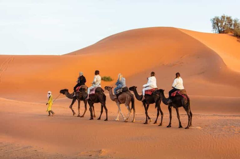 Merzouga: 1-Night in the luxury camp. camel ride & Dinner - Is It Worth the Price?