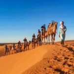 Merzouga : 3 days desert tour with camp stay, camel & food - What Makes This Tour Stand Out?