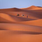 Merzouga desert 3 days 02 nights & bivouac & camel ride - What You Should Know Before Booking